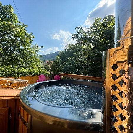 Gite Au Manoir Des Sens Avec Bain Nordique Jacuzzi Bergheim Exterior photo
