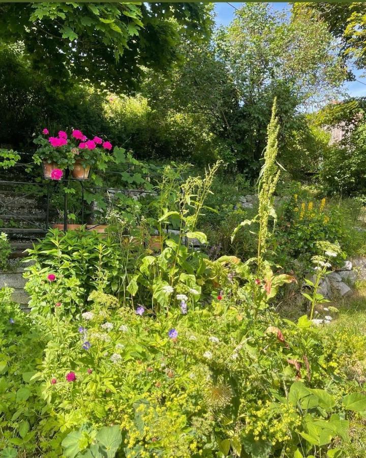Gite Au Manoir Des Sens Avec Bain Nordique Jacuzzi Bergheim Exterior photo