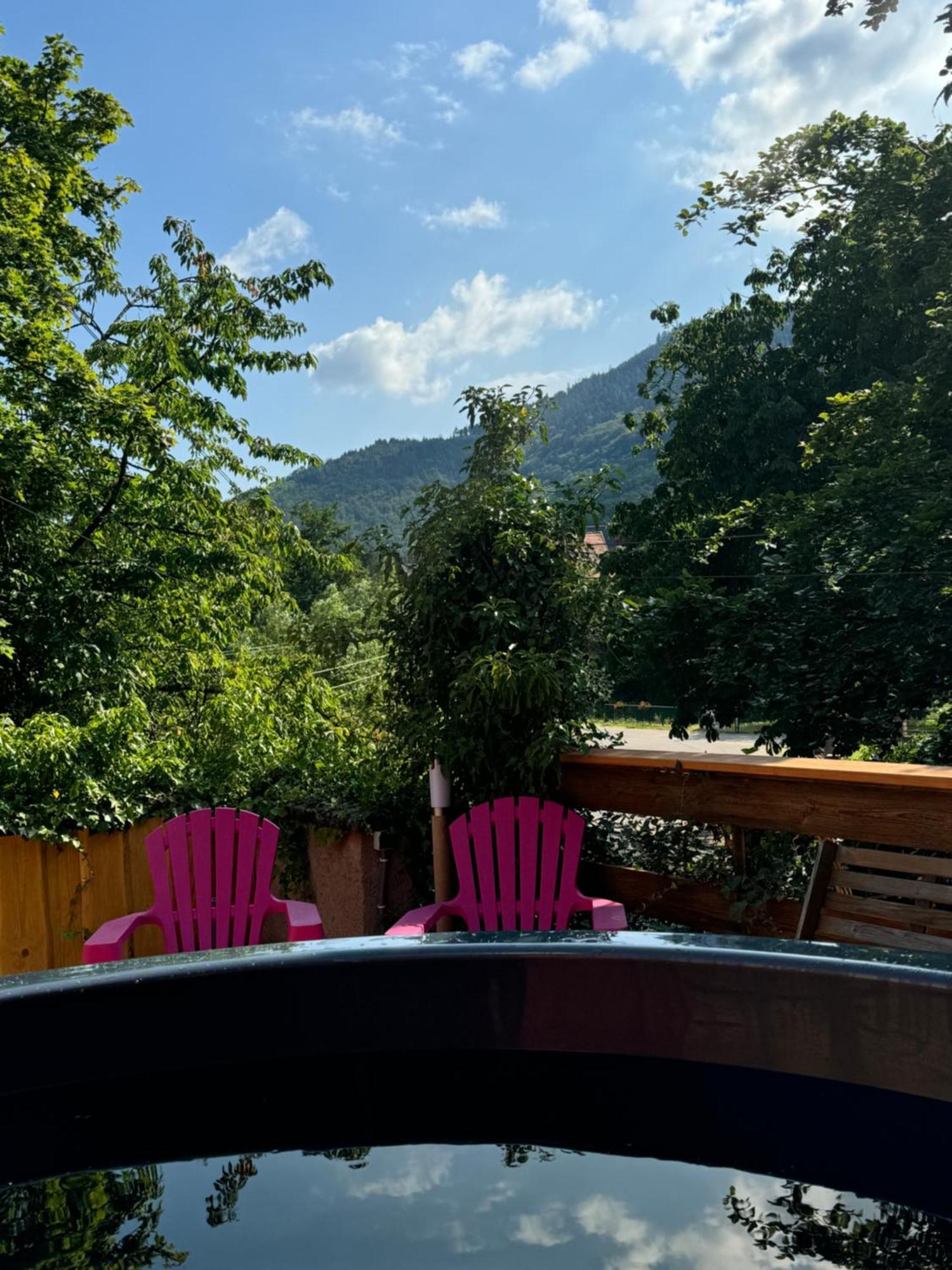Gite Au Manoir Des Sens Avec Bain Nordique Jacuzzi Bergheim Exterior photo